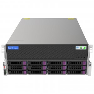 1600 1600